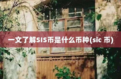 一文了解SIS币是什么币种(sic 币)