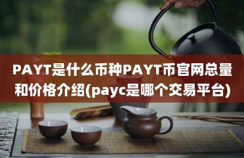 PAYT是什么币种PAYT币官网总量和价格介绍(payc是哪个交易平台)