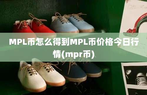 MPL币怎么得到MPL币价格今日行情(mpr币)