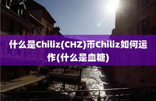 什么是Chiliz(CHZ)币Chiliz如何运作(什么是血糖)