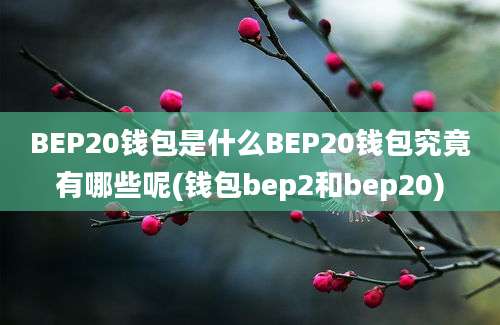 BEP20钱包是什么BEP20钱包究竟有哪些呢(钱包bep2和bep20)