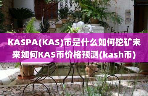 KASPA(KAS)币是什么如何挖矿未来如何KAS币价格预测(kash币)