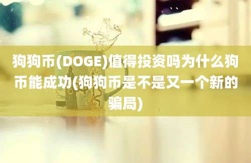 狗狗币(DOGE)值得投资吗为什么狗币能成功(狗狗币是不是又一个新的骗局)