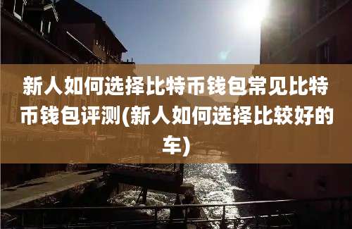 新人如何选择比特币钱包常见比特币钱包评测(新人如何选择比较好的车)