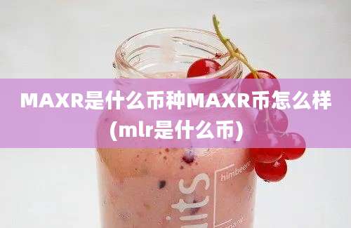 MAXR是什么币种MAXR币怎么样(mlr是什么币)