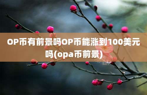 OP币有前景吗OP币能涨到100美元吗(opa币前景)