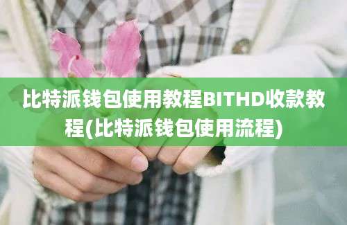 比特派钱包使用教程BITHD收款教程(比特派钱包使用流程)