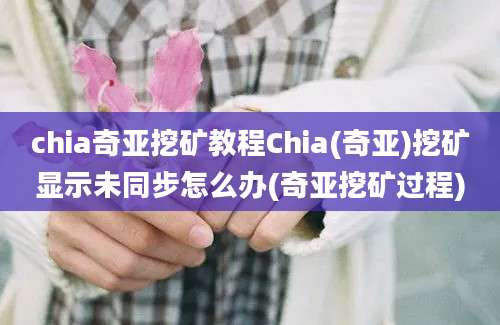 chia奇亚挖矿教程Chia(奇亚)挖矿显示未同步怎么办(奇亚挖矿过程)