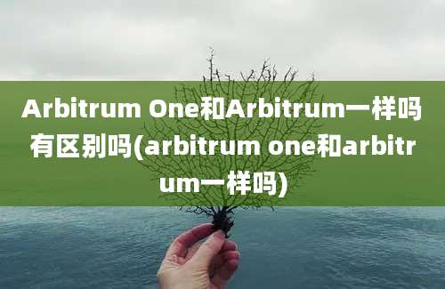 Arbitrum One和Arbitrum一样吗有区别吗(arbitrum one和arbitrum一样吗)