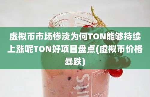 虚拟币市场惨淡为何TON能够持续上涨呢TON好项目盘点(虚拟币价格暴跌)