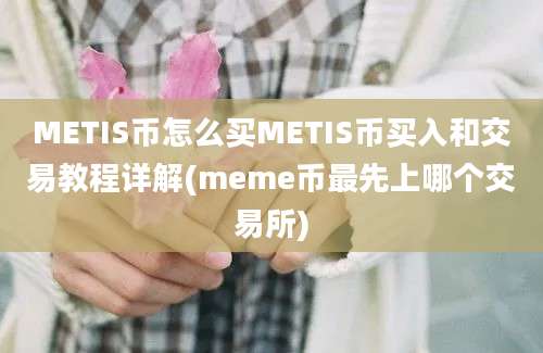 METIS币怎么买METIS币买入和交易教程详解(meme币最先上哪个交易所)