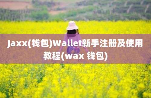 Jaxx(钱包)Wallet新手注册及使用教程(wax 钱包)