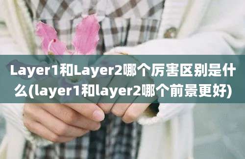 Layer1和Layer2哪个厉害区别是什么(layer1和layer2哪个前景更好)