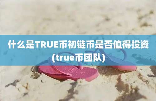 什么是TRUE币初链币是否值得投资(true币团队)