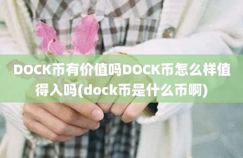 DOCK币有价值吗DOCK币怎么样值得入吗(dock币是什么币啊)