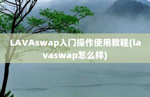 LAVAswap入门操作使用教程(lavaswap怎么样)