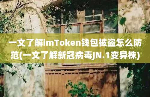 一文了解imToken钱包被盗怎么防范(一文了解新冠病毒JN.1变异株)