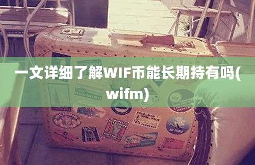 一文详细了解WIF币能长期持有吗(wifm)