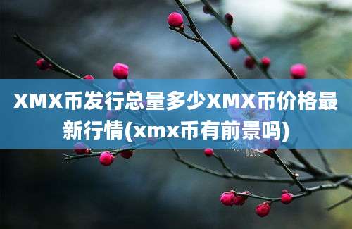 XMX币发行总量多少XMX币价格最新行情(xmx币有前景吗)