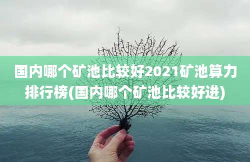 国内哪个矿池比较好2021矿池算力排行榜(国内哪个矿池比较好进)