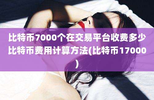 比特币7000个在交易平台收费多少比特币费用计算方法(比特币17000)