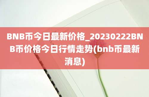 BNB币今日最新价格_20230222BNB币价格今日行情走势(bnb币最新消息)