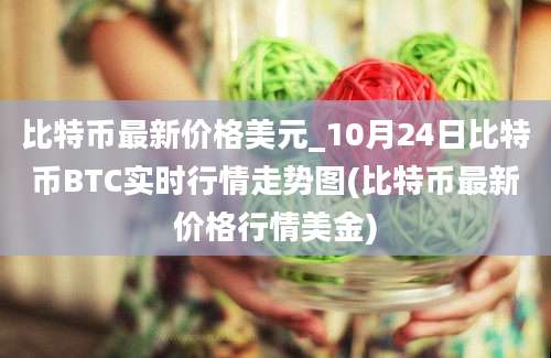 比特币最新价格美元_10月24日比特币BTC实时行情走势图(比特币最新价格行情美金)