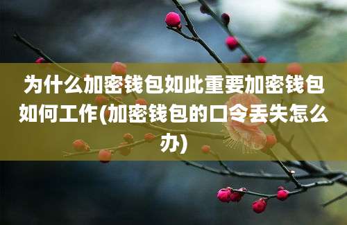 为什么加密钱包如此重要加密钱包如何工作(加密钱包的口令丢失怎么办)