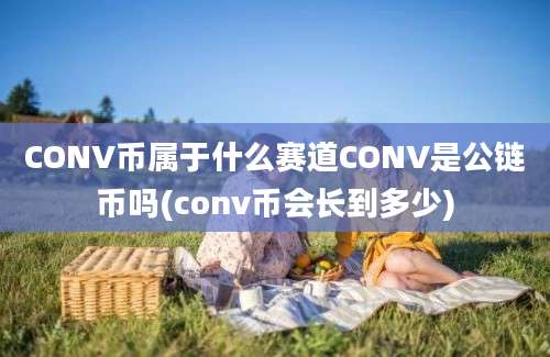 CONV币属于什么赛道CONV是公链币吗(conv币会长到多少)