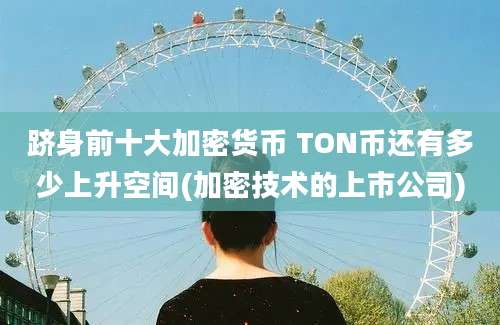 跻身前十大加密货币 TON币还有多少上升空间(加密技术的上市公司)