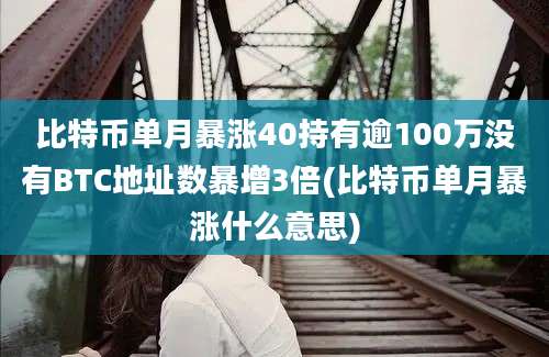 比特币单月暴涨40持有逾100万没有BTC地址数暴增3倍(比特币单月暴涨什么意思)