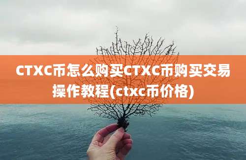 CTXC币怎么购买CTXC币购买交易操作教程(ctxc币价格)