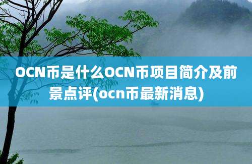 OCN币是什么OCN币项目简介及前景点评(ocn币最新消息)