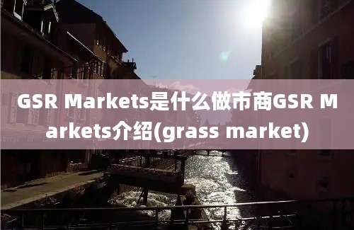 GSR Markets是什么做市商GSR Markets介绍(grass market)