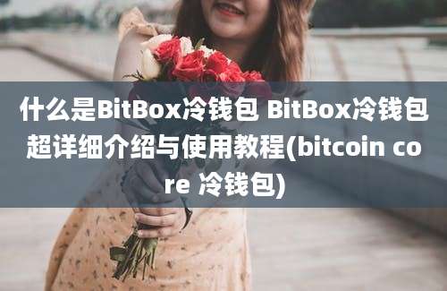 什么是BitBox冷钱包 BitBox冷钱包超详细介绍与使用教程(bitcoin core 冷钱包)