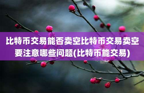 比特币交易能否卖空比特币交易卖空要注意哪些问题(比特币能交易)