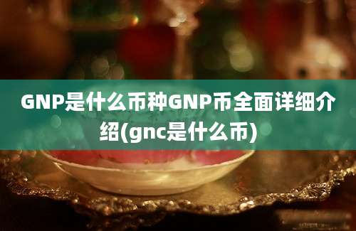 GNP是什么币种GNP币全面详细介绍(gnc是什么币)