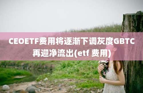 CEOETF费用将逐渐下调灰度GBTC再迎净流出(etf 费用)