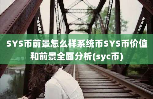 SYS币前景怎么样系统币SYS币价值和前景全面分析(syc币)