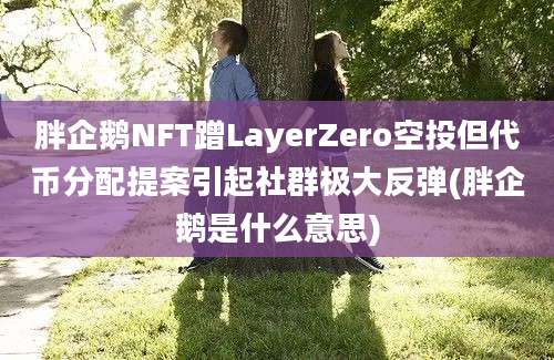 胖企鹅NFT蹭LayerZero空投但代币分配提案引起社群极大反弹(胖企鹅是什么意思)