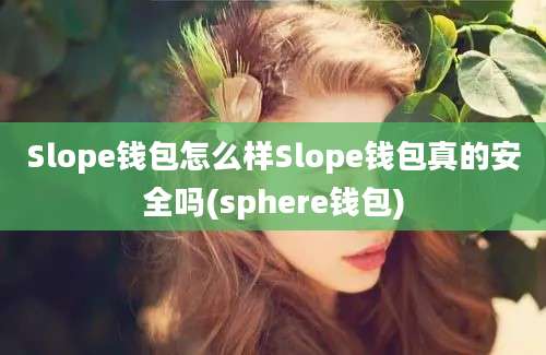 Slope钱包怎么样Slope钱包真的安全吗(sphere钱包)