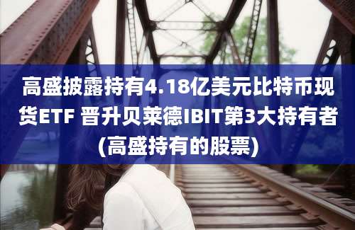 高盛披露持有4.18亿美元比特币现货ETF 晋升贝莱德IBIT第3大持有者(高盛持有的股票)