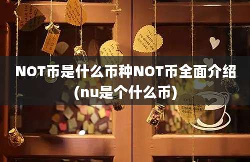 NOT币是什么币种NOT币全面介绍(nu是个什么币)