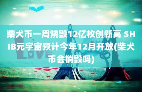 柴犬币一周烧毁12亿枚创新高 SHIB元宇宙预计今年12月开放(柴犬币会销毁吗)