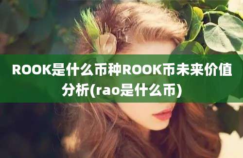 ROOK是什么币种ROOK币未来价值分析(rao是什么币)