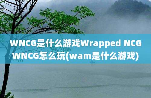 WNCG是什么游戏Wrapped NCGWNCG怎么玩(wam是什么游戏)