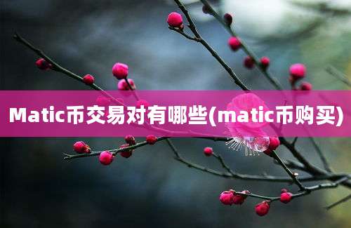 Matic币交易对有哪些(matic币购买)