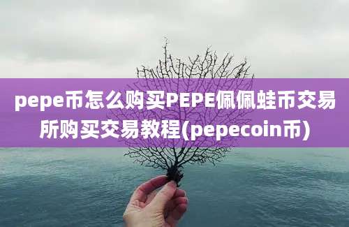 pepe币怎么购买PEPE佩佩蛙币交易所购买交易教程(pepecoin币)