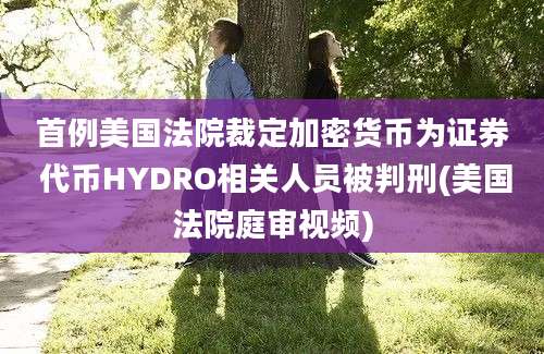 首例美国法院裁定加密货币为证券 代币HYDRO相关人员被判刑(美国法院庭审视频)