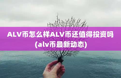 ALV币怎么样ALV币还值得投资吗(alv币最新动态)